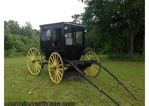 Amish Courting Carriage